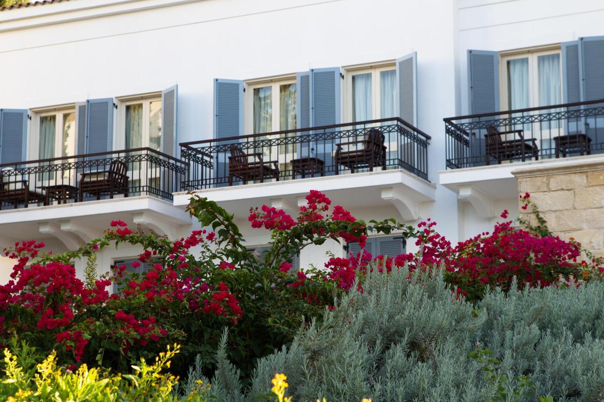 Anassa Hotel Polis Bilik gambar